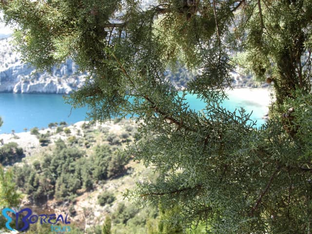 09.09 Autocar din Bucuresti, Grecia, Thassos Skala Potamia Studio Viky 194 euro/pers/7 nopti fara masa
