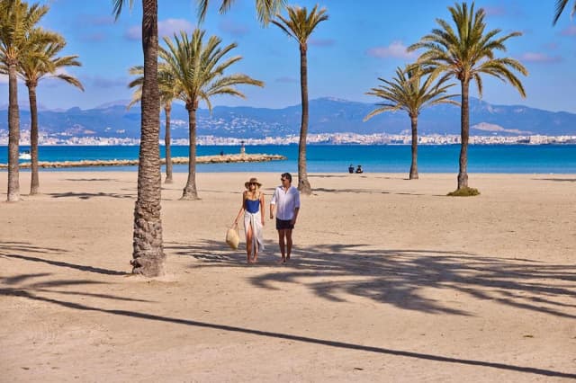 ULTRA LAST MINUTE PALMA DE MALORCA WELIKE FENIX 4**** ZBOR DIRECT DIN OTOPENI/ CLUJ NAPOCA CU TAXE INCLUSE