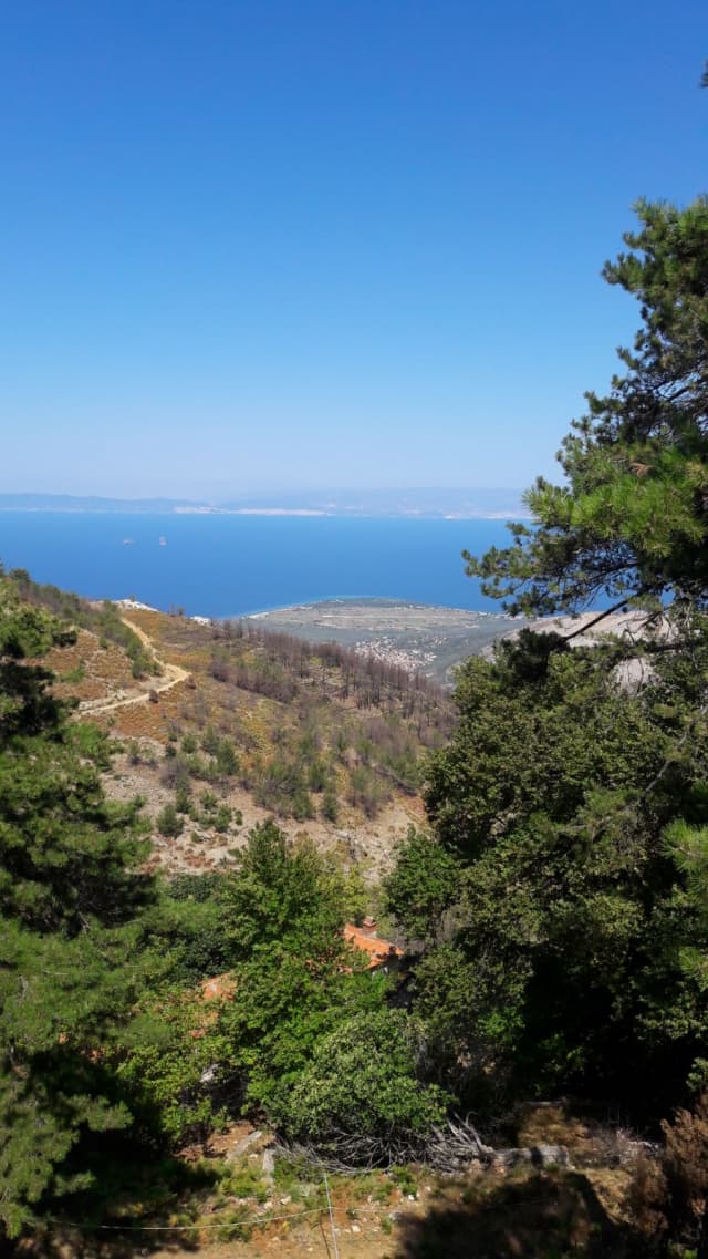 20.08 Grecia, Thassos Limenaria, Oasis Studio 139 euro/pers/7 nopti fara masa / sejur individual