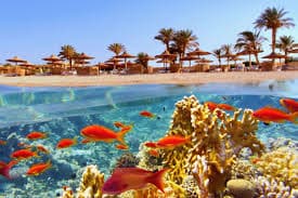 Sejur la plaja in Hurghada la doar 890 euro,avion din Iasi!!! Amarina Saphir Beach Resort 5*