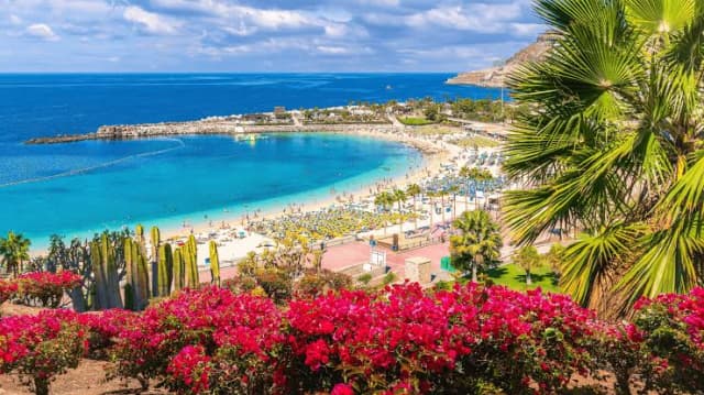 Sejur la plaja in Gran Canaria la doar 1161 euro,avion din Bucuresti!!!Lopesan Baobab Resort 5*