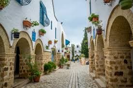SECRETELE CARTAGINEI, AVION DIN BUCURESTI, LA HOTEL DE 4*, LA TARIFUL DE 649 EURO/PERSOANA, PENSIUNE COMPLETA!
