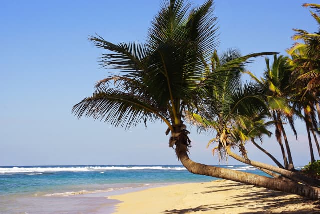 🌊 OFERTĂ ☀️ Sejur PUNTA CANA 🏝️ 7 nopți ✈️ plecare din Madrid (AM)
