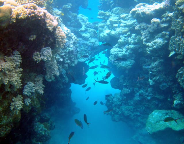 LAST MINUTE EGIPT-SHARM EL SHEIKH, XPERIENCE KIROSEIZ PREMIER 5, 7 NOPTI CAZARE CU ALL INCLUSIVE, ZBOR DIN BUCURESTI