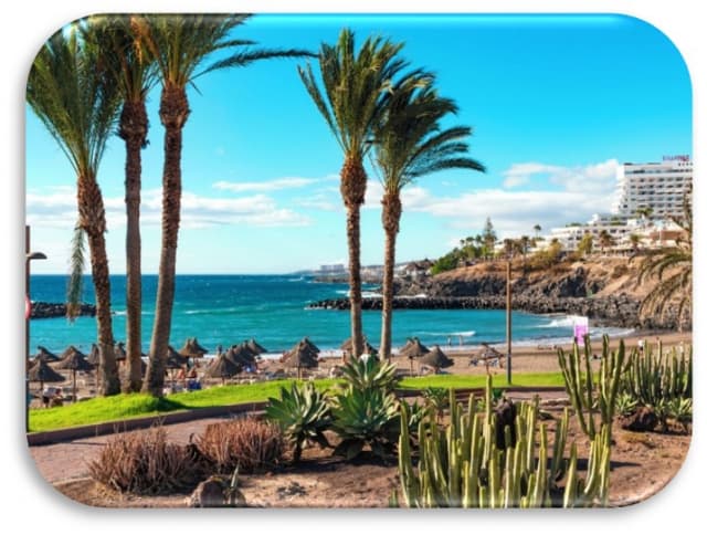 LAST MINUTE TENERIFE - SEJUR 7 NOPTI CU ZBOR DIN BUCURESTI✈️