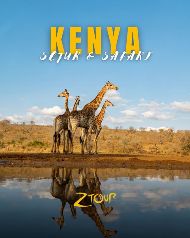 SEJUR SI SAFARI IN KENYA (OR)