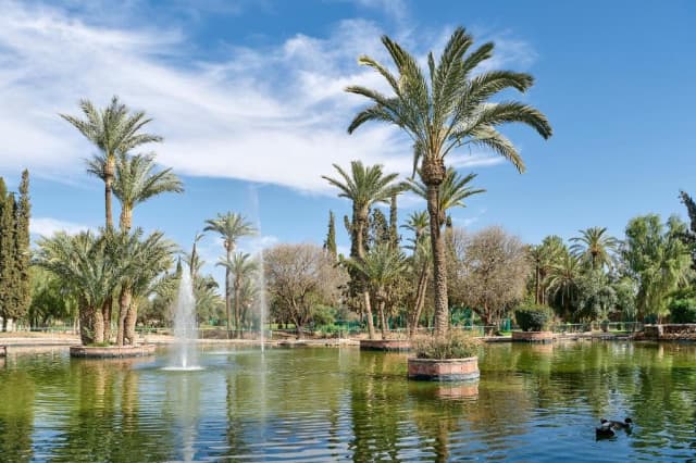 Sejur in Maroc la doar 498 euro,avion din Cluj!!!Iberostar Waves Club Palmeraie 4* all inclusive