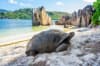 SEJUR COMBI SEYCHELLES -  MAHE SI PRASLIN