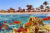 Sejur la plaja in Hurghada la doar 876 euro,avion din Brasov!!!Old Palace Resort Sahl Hasheesh 5*