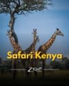 OFERTA SAFARI  10 NOPTI CU PLECARE DIN CLUJ-NAPOCA +early check in