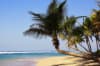 🌊 OFERTĂ ☀️ Sejur PUNTA CANA 🏝️ 7 nopți ✈️ plecare din Madrid (AM)