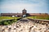 🏙️✈️ City Break în Cracovia din București + Auschwitz-Birkenau (AM)