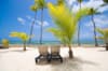Vacanta de toamna la plaja in Dominicana la doar 2195 euro,avion din Bucuresti!Barcelo Bavaro Palace 5*