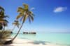 Sejur de vis la plaja in Maldive la doar 2498 euro,avion din Bucuresti!Adaaran Select Hudhuran Fushi 4*