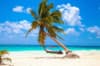 1 Decembrie la plaja in Dominicana la doar 1053 euro,avion din Bucuresti!!! PLAYA BACHATA RESORT