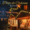 CIRCUIT DE CRACIUN - MÜNCHEN • SALZBURG • BRATISLAVA - plecare din CLUJ-NAPOCA