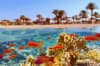 Vacanta de 1 Decembrie la plaja in Hurghada!Sejur de 14 nopti la doar 860 euro,avion din Cluj! The Grand Hotel