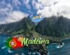 SEJUR MADEIRA -- 7 NOPTI -- ZBOR DIN BUDAPESTA (LP)