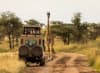 Sejur ZANZIBAR + Safari "Rezervația Selous 1 zi" - locuri limitate!!