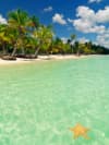 SUPER OFERTA LAST MINUTE -- REPUBLICA DOMINICANA 🌺🌴🐚 7 NOPTI -- ALL INCLUSIVE