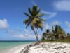 Last Minute Punta Cana, sejur 7 nopti, cu plecare din Cluj Napoca(LP)