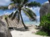 LAST MINUTE SEYCHELLES, SEJUR 7 NOPTI, CU PLECARE DIN BUCURESTI(LP)