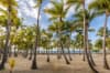 Oferta speciala Republica Dominicana - Playa Bachata Resort 4* - zbor direct din Bucuresti
