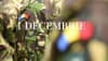 1 Decembrie la Alba Iulia, 2 nopți (CL)