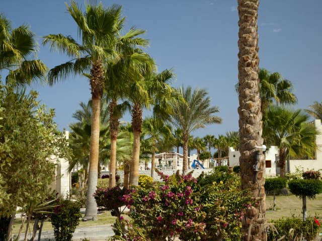 🇪🇬 728 EUR/pers - EGIPT, Hurghada - CORAL BEACH RESORT HURGHADA ****, All inclusive