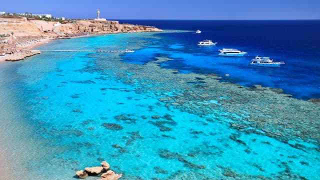 SUPER OFERTA - SHARM EL SHEIKH CU ZBOR DIN BUCURESTI 📍🗺️