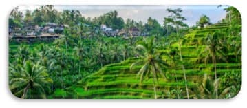 BALI, UBUD + PLAJA CU ZBOR DIN CLUJ NAPOCA ✈️