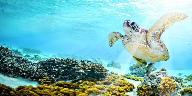 OFERTA SPECIALA HURGHADA CU ZBOR DIN TIMISOARA📍🗺️
