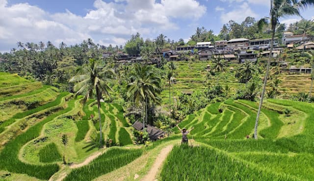 OFERTA DE 8 NOPTI IN BALI, PLECARE DIN CLUJ NAPOCA(CC)