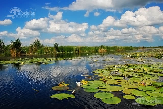 25.08 Auotcar Bucuresti CIRCUIT 3 ZILE DELTA DUNARII - PADUREA CARAORMAN - GURA PORTITEI, 1299 lei/2 nopti demipensiune