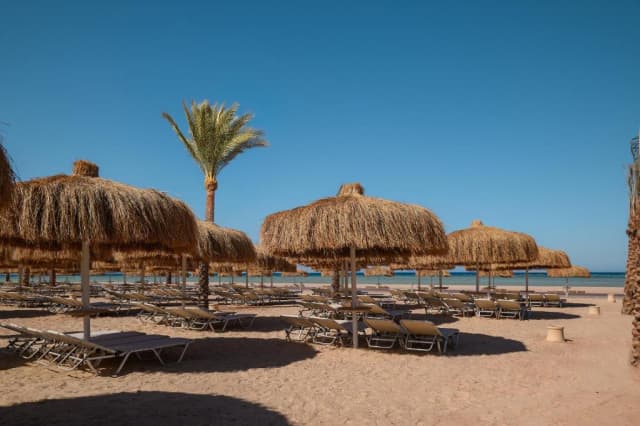 🌴☀️ VACANȚA COPIILOR? ANUL ACESTA O PETRECEM ÎN HURGHADA!✈️ ZBOR DIN BUCUREȘTI