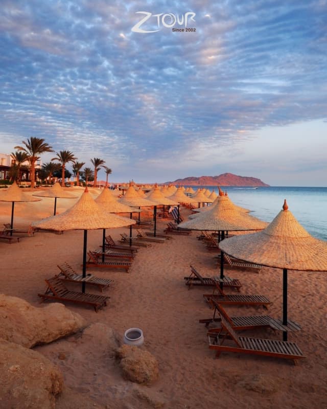 SUPER OFERTA 7 ZILE IN SHARM EL SHEIKH EGIPT (LP)
