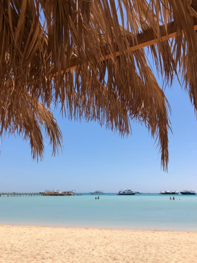TARIF PROMO!!!Sejur la plaja in Hurghada la doar 769 eur,avion din Oradea!!!Sunrise Select Garden Beach