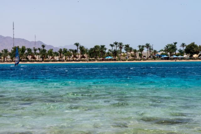 Revelion in Sharm el Sheikh: 775 euro cazare 7 nopti cu All inclusive+ transport avion+ toate taxele
