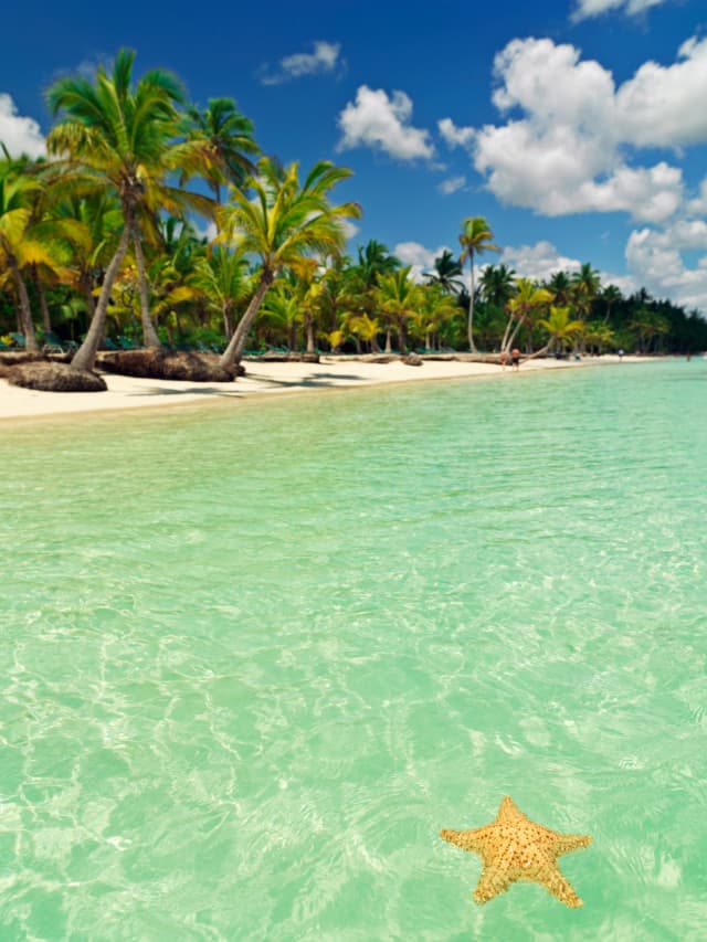 SUPER OFERTA LAST MINUTE -- REPUBLICA DOMINICANA 🌺🌴🐚 7 NOPTI -- ALL INCLUSIVE